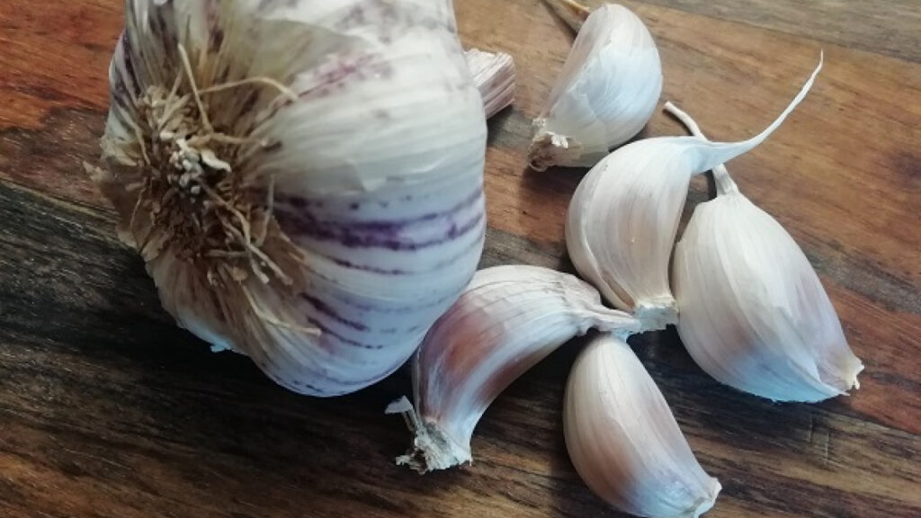 Garlic soup. Photo: Nela